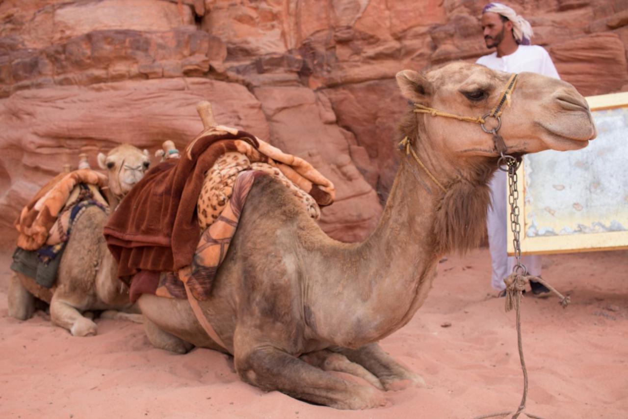 Wadi Rum Desert Home Exterior foto